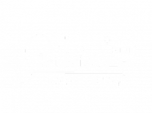 logotipos fentum web_Mesa de trabajo 1 copia 5